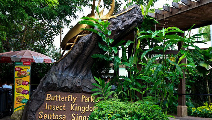 Butterfly Park And Insect Kingdom, best singapore tour operators in Bangalore, INDIA