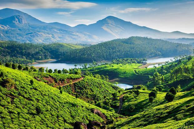 Munnar | Best South India tour packages from Bangalore, Karnataka, India